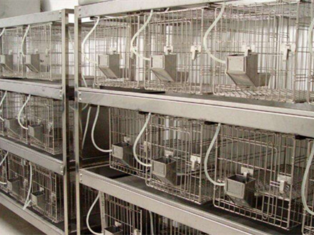 實驗動物設(shè)施給水排水設(shè)計要求